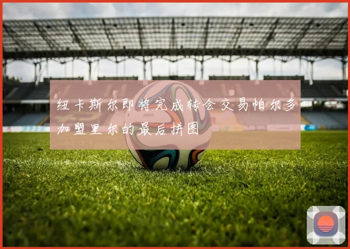 纽卡斯尔即将完成转会交易帕尔多加盟里尔的最后拼图